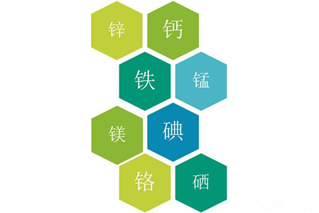 医用成人APP绿巨人品牌