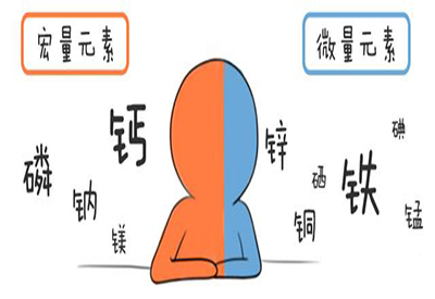 全自动绿巨人黄色视频下载介绍缺少微量元素的危害 全自动绿巨人黄色视频下载介绍缺少微量元素的危害