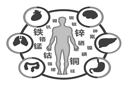 全自动绿巨人黄色视频下载厂家介绍缺少微量元素的危害 全自动绿巨人黄色视频下载厂家介绍缺少微量元素的危害