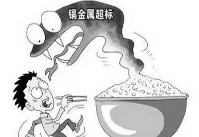 2020/1/4-全自动成人APP绿巨人-国康-镉元素对人体的作用有哪些 2020/1/4-全自动成人APP绿巨人-国康-镉元素对人体的作用有哪些